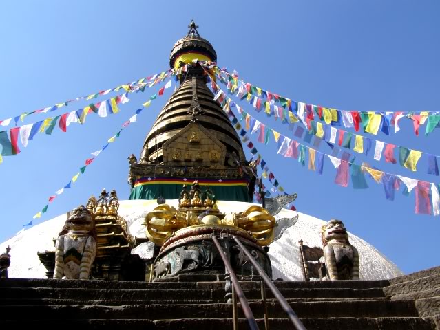 PA280705.jpg