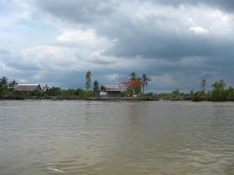 IMG_6613Medium.jpg