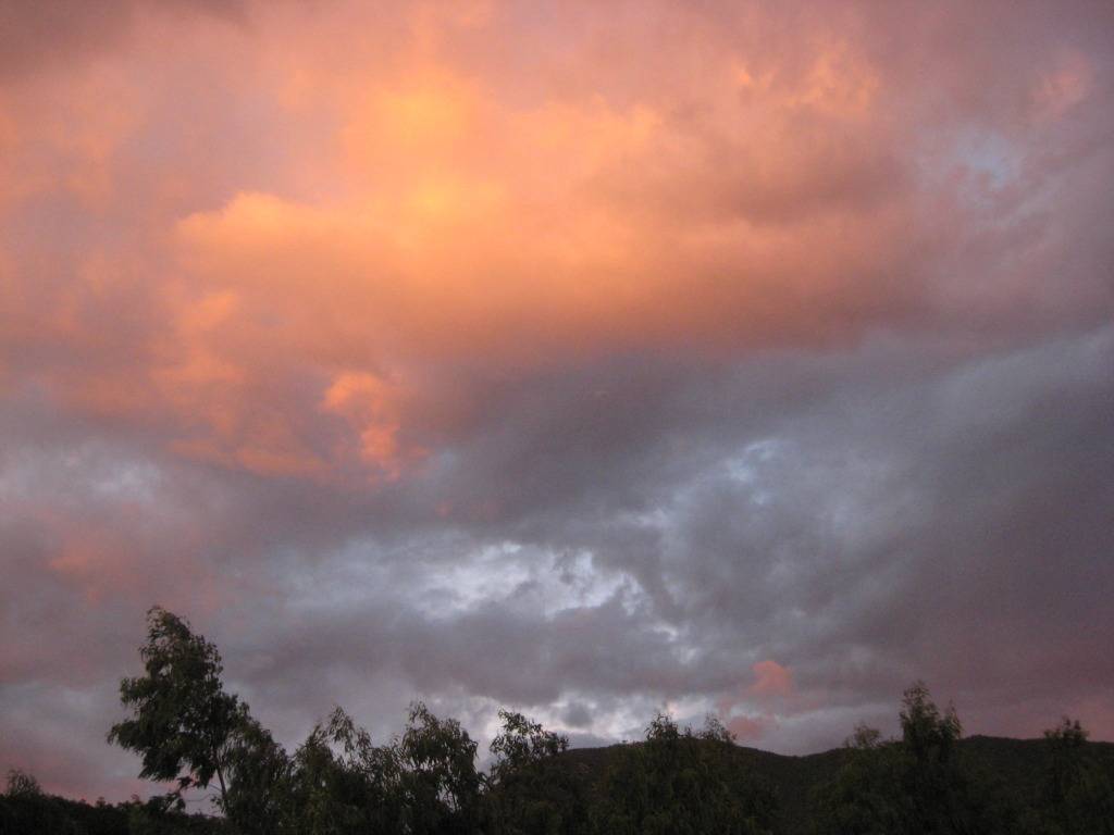 IMG_1683.jpg