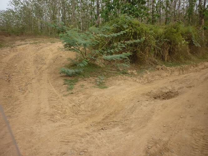 P1240652.jpg