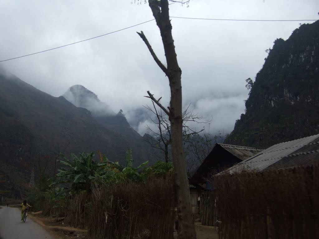 DSCF0933.jpg