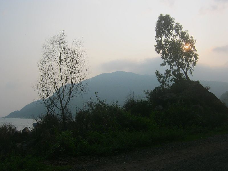 IMG_7556.jpg