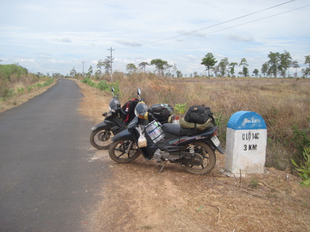 IMG_1768.jpg