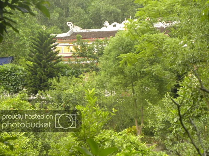 DSCN7740.jpg