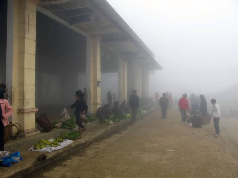 HongNgai2011249.jpg
