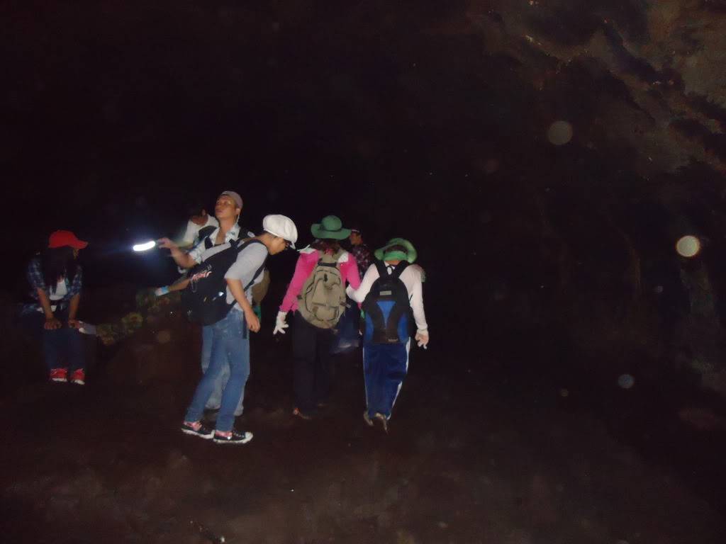 DSC01207.jpg