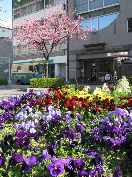 IMG_1217_resize.jpg