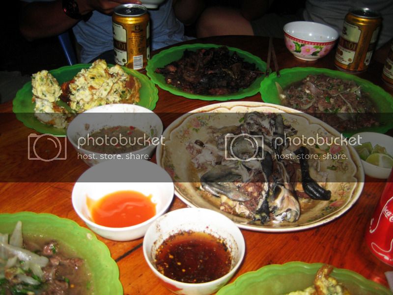 IMG_0241_RS.jpg