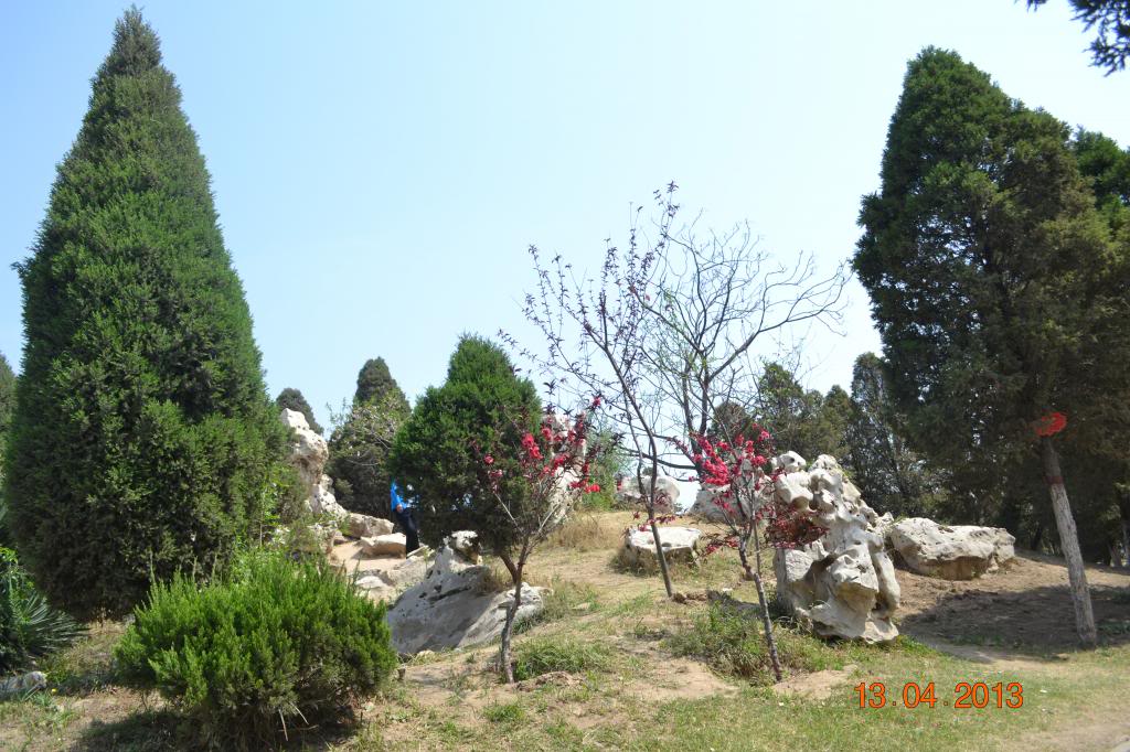 DSC_0805_zps423cca78.jpg