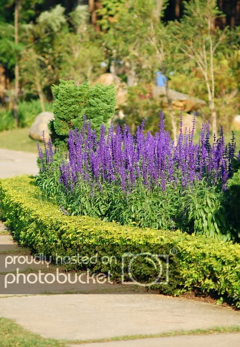 DSC_5399_resize.jpg
