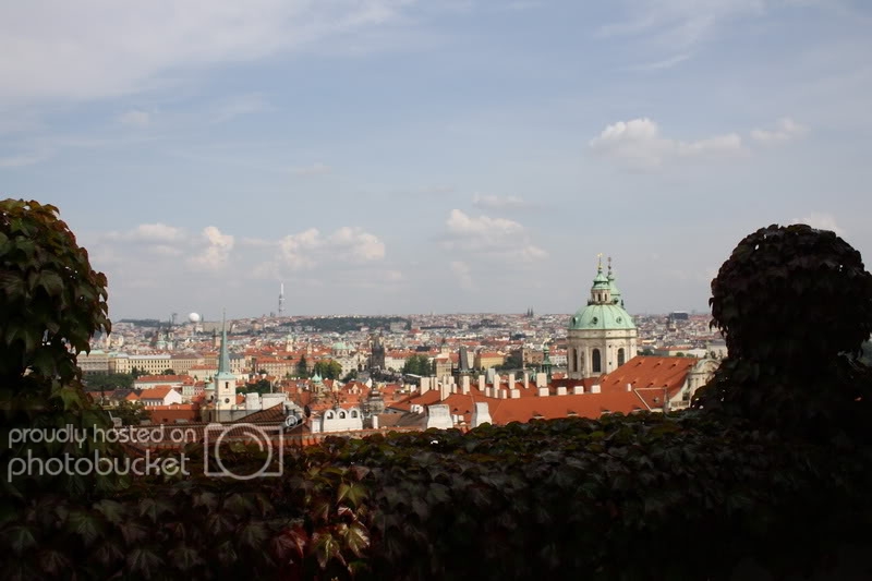 IMG_5147.jpg