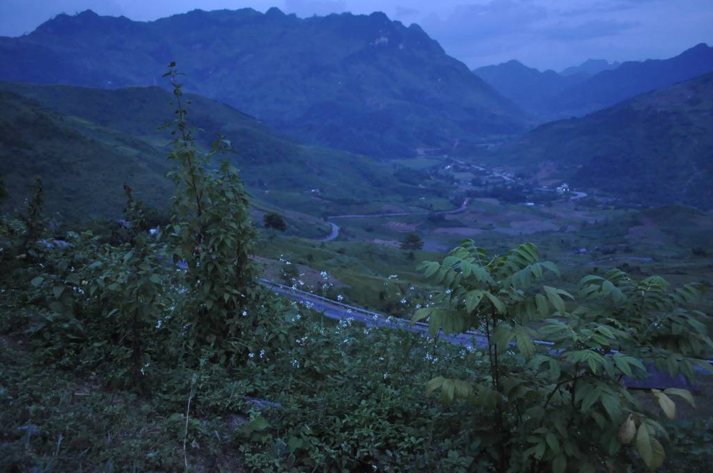 DSC_0203-1.jpg