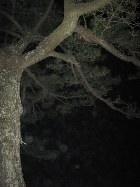 IMG_1444_resize.jpg