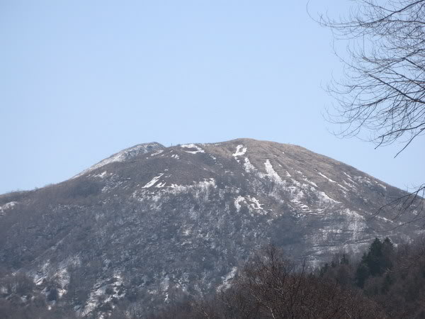 IMG_3648_resize.jpg