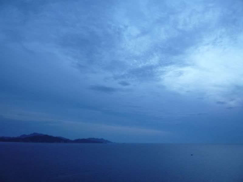 P1010629800x600.jpg