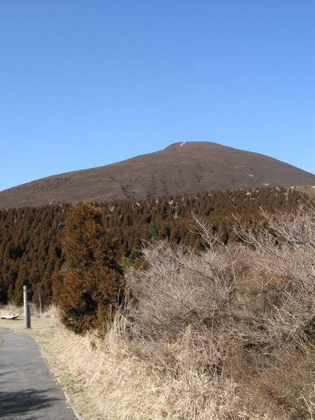 IMG_1139_resize.jpg