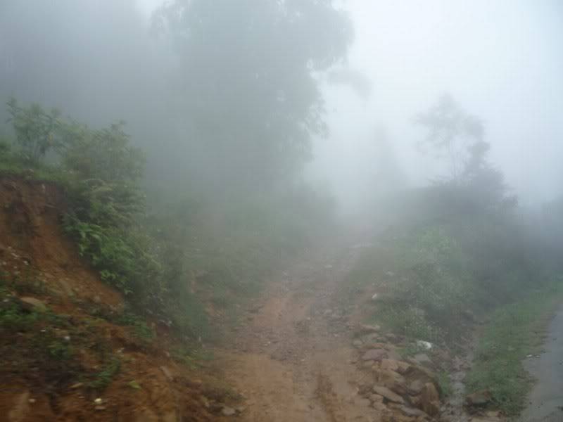 P1020253800x600.jpg