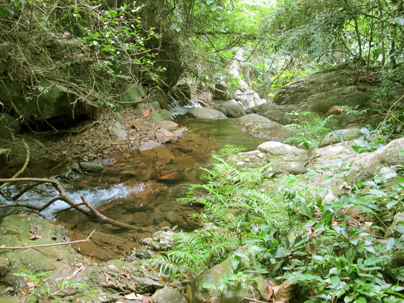 TayYenTu1010607.jpg