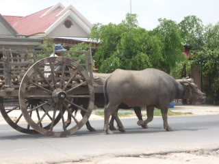 P1000649.jpg
