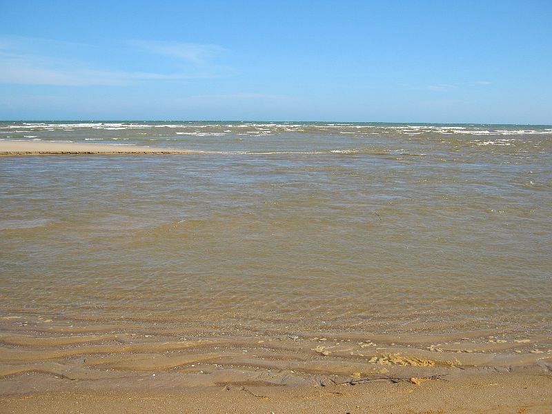 IMG_7845.jpg