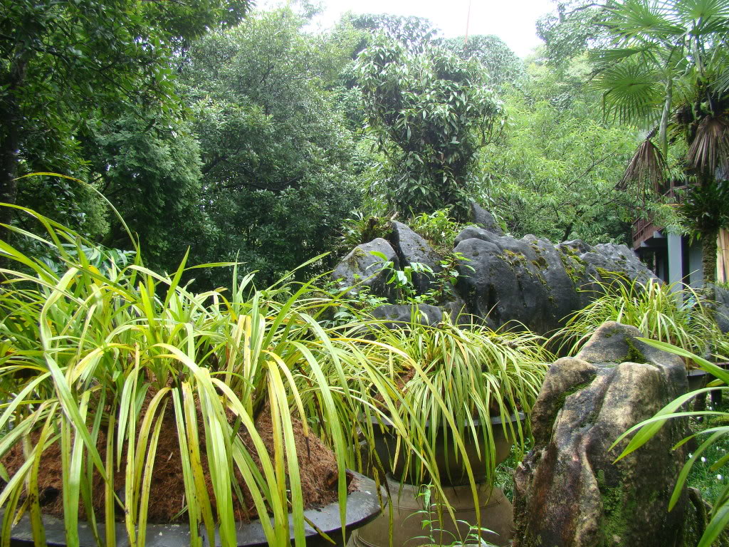 DSC09475.jpg