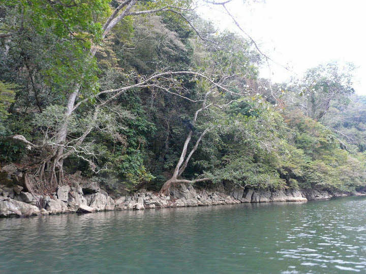 P1050540.JPG