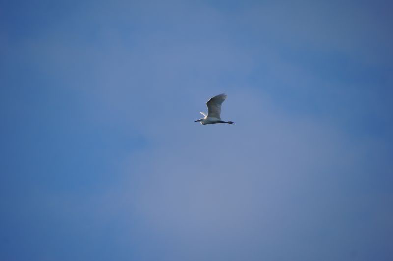 DSC00702.jpg