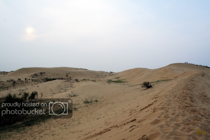 IMG_8447_zps26b10a91.jpg