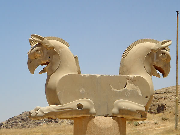 DSC05370.jpg
