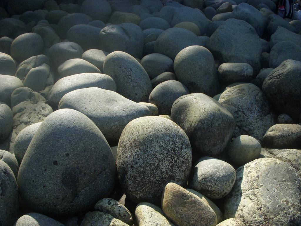 DSCN5717_zpseef7f560.jpg