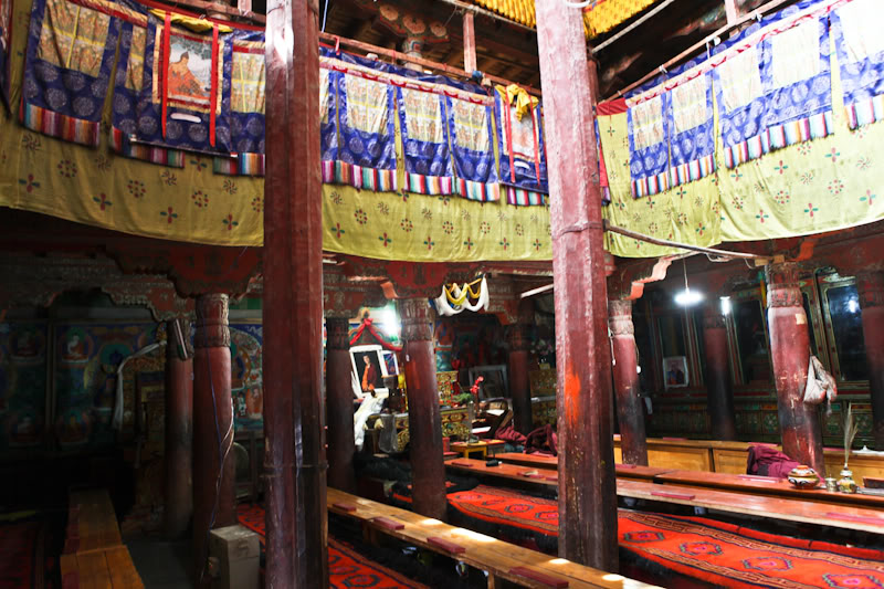 IMG_9883.jpg