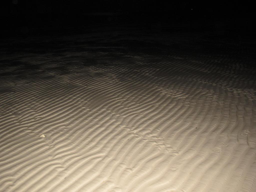 IMG_8682_zpse30f8094.jpg