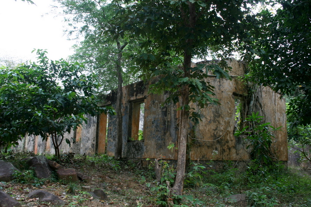 120481e781a3d6eb.jpg