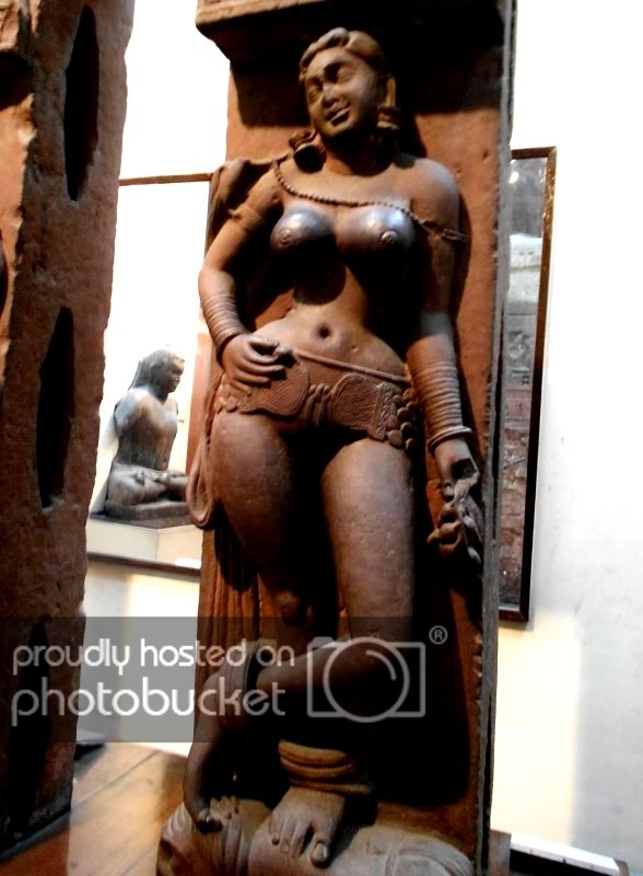 DSCN8230-1.jpg