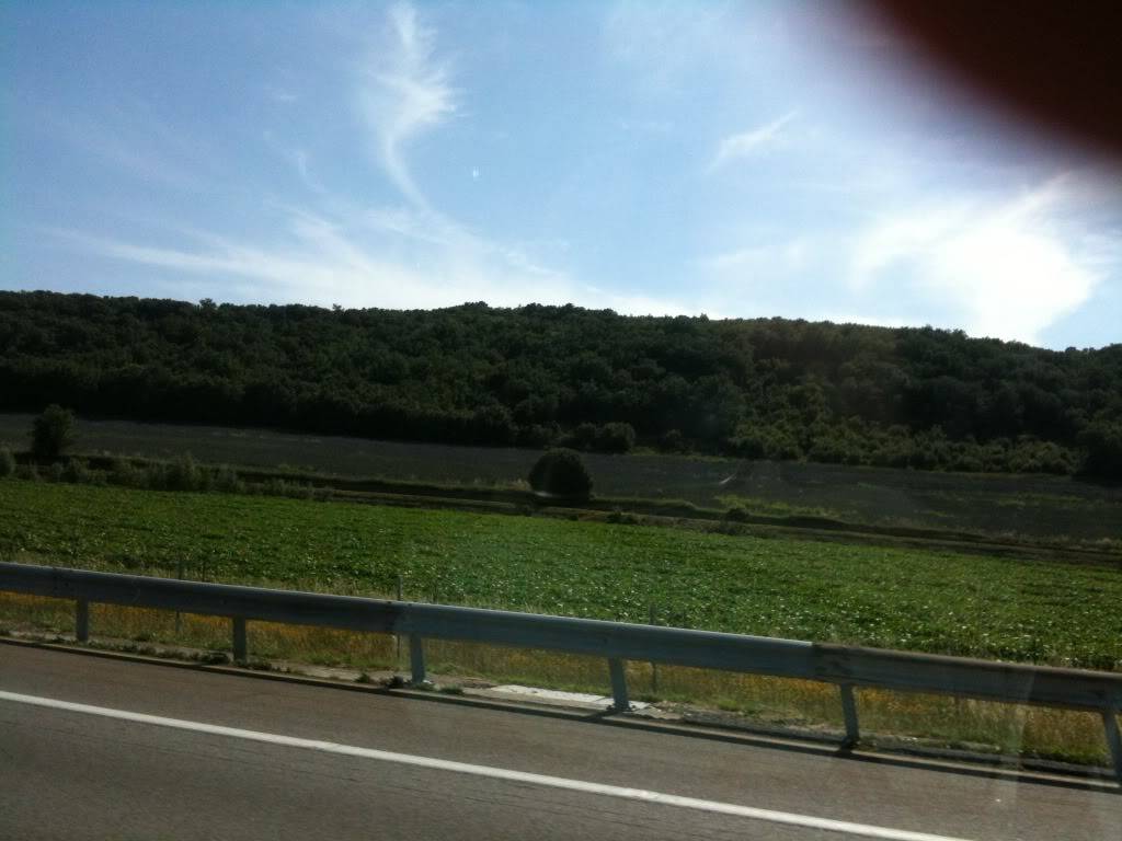 IMG_0108.jpg