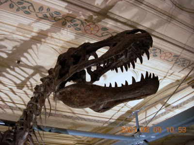 DSCN3691.JPG