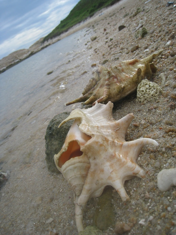 4976804090_d3d7d04bbc_b.jpg