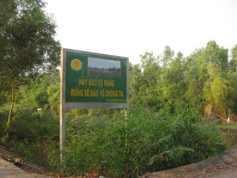 DongThapTET2011273.jpg