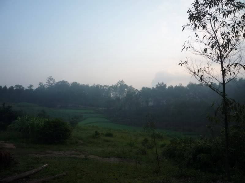 P1020013800x600.jpg