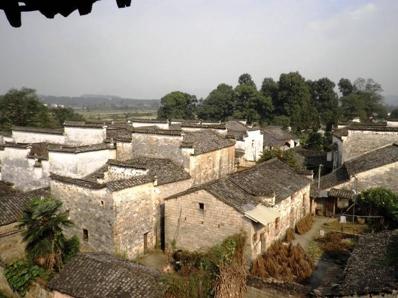 PA290573.jpg