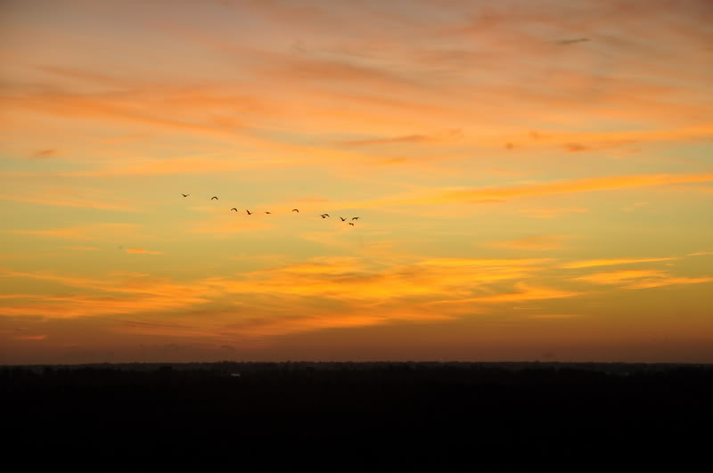 DSC_4039_resize.jpg