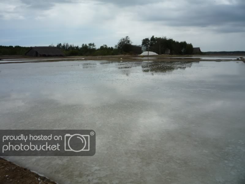 P1030291800x600.jpg