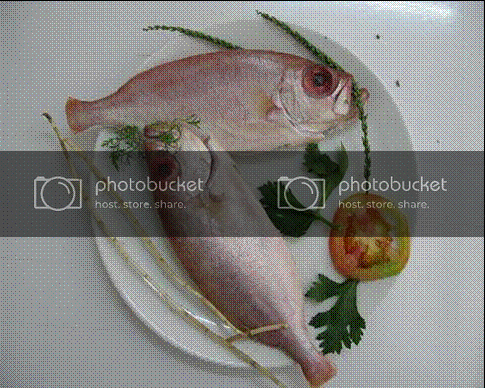 Picture2.gif