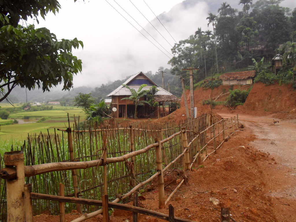 SDC16619.jpg