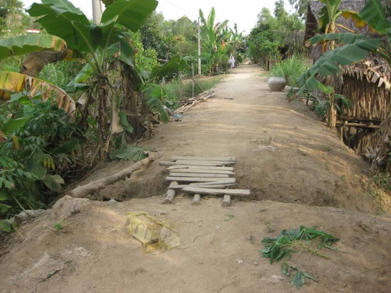 DongThapTET2011476.jpg