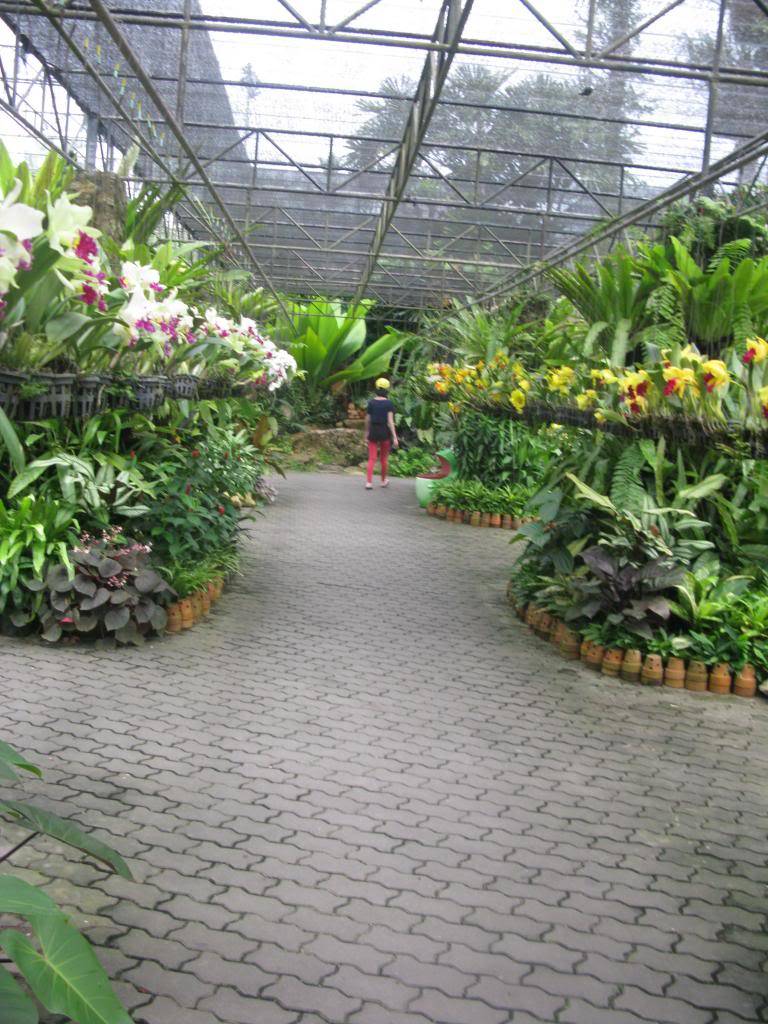 IMG_0353_zps15a0eb78.jpg