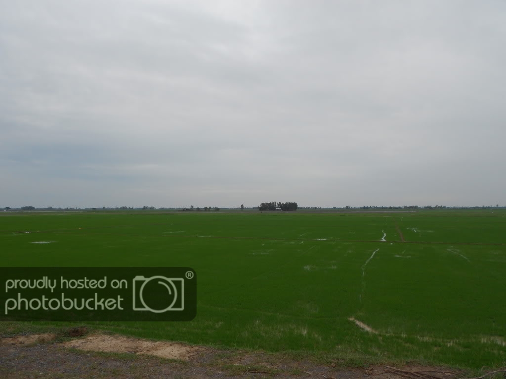 DSCN7-1.jpg