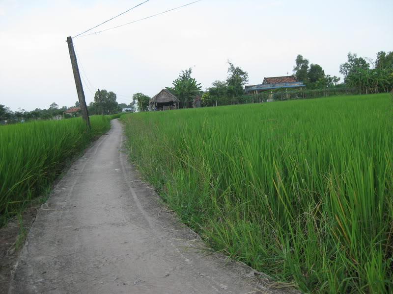 IMG_7509.jpg