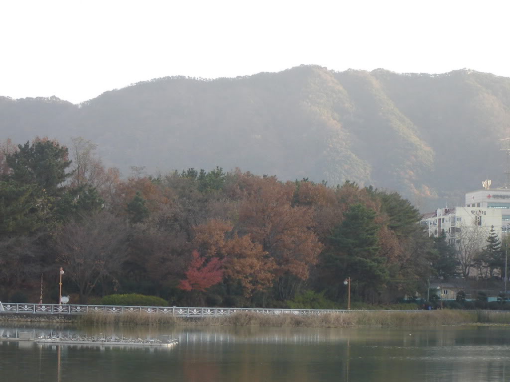 DSC08610.jpg