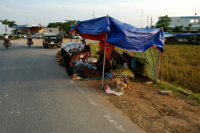 DSC_2230.jpg